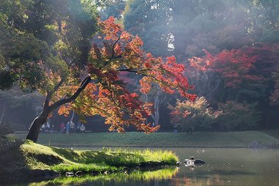 🌳 오토메야마 공원(신주쿠 구립 오토메야마 코엔)